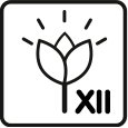 Mois de floraison: 11 – 12
